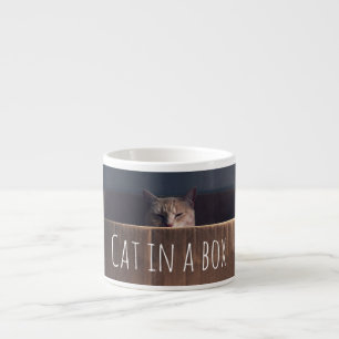 Katze in einem Kasten Espressotasse