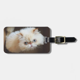 Katze in einem Kasten Gepäckanhänger
