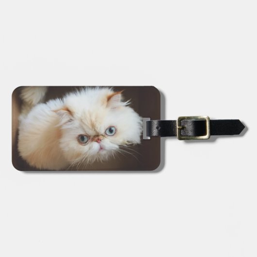 Katze in einem Kasten Gepäckanhänger (Vorderseite horizontal)