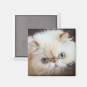 Katze in einem Kasten Magnet (Vorderseite/Rückseite)