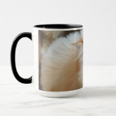Katze in einem Kasten Tasse (Links)