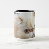 Katze in einem Kasten Tasse (Zentrum)