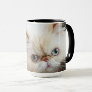 Katze in einem Kasten Tasse
