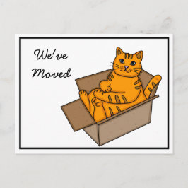 Katze in einem Kasten "Wir bewegen uns" Neue Adres Ankündigungspostkarte