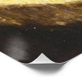 Katze in einem Ruff Niedliche Viktorianische Kunst Poster (Ecke)