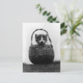 Katze in einem Vintagen Foto Postkarte (Stehend Vorderseite)