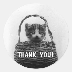 Katze in einem Vintagen Foto - Vielen Dank Runder Aufkleber