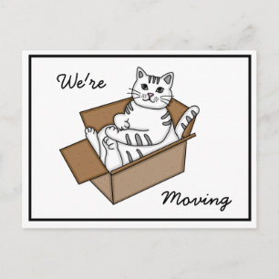Katze in einer Box "Wir ziehen um" Neue Adresse   Ankündigungspostkarte