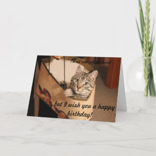 Katze in einer Geschenktasche Karte
