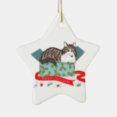 Katze in einer Kiste personalisierte Weihnachtsbau Keramik Ornament (Rechts)