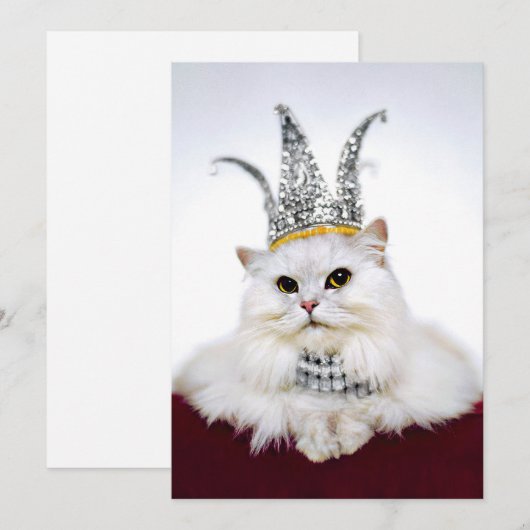 Katze in einer Krone Einladung (Vorne/Hinten)