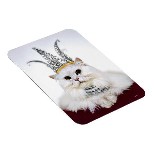 Katze in einer Krone Magnet (Rechte Seite)