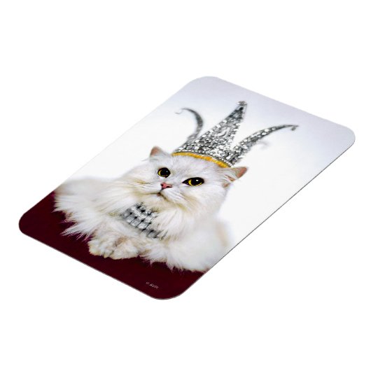 Katze in einer Krone Magnet (Linke Seite)