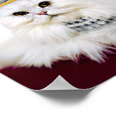 Katze in einer Krone Poster (Ecke)