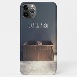 Katze in einer Schachtel. Der Zen-Katzenmeister. Case-Mate iPhone Hülle