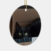 Katze in einer Schachtel Keramik Ornament (Rechts)