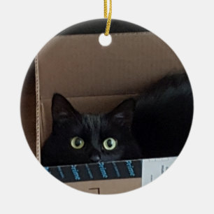 Katze in einer Schachtel Keramik Ornament