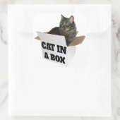 Katze in einer Schachtel! Quadratischer Aufkleber (Tasche)