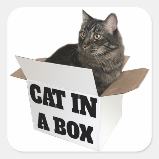 Katze in einer Schachtel! Quadratischer Aufkleber (Vorderseite)