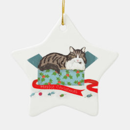 Katze in einer Schachtel Weihnachtsbaumschmuck Keramik Ornament