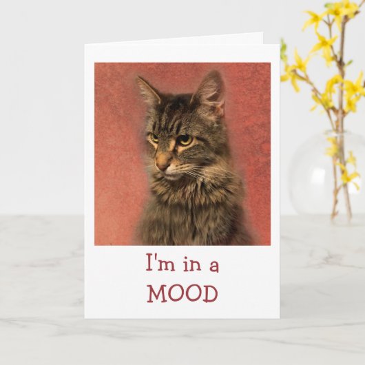 Katze in einer Stimmung Gute Karte bekommen (Gelbe Blume)