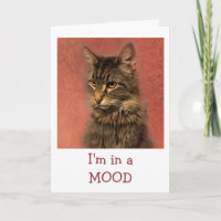 Katze in einer Stimmung Gute Karte bekommen