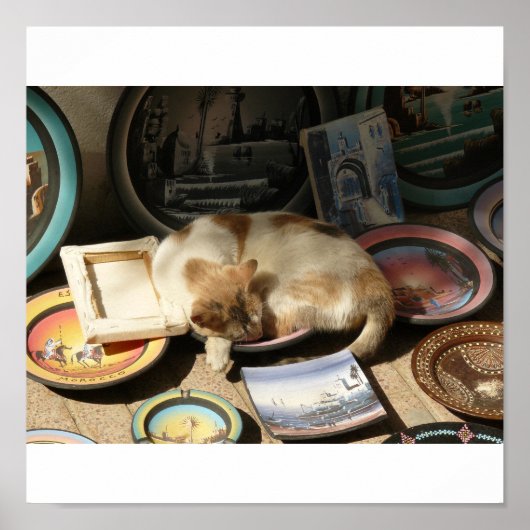 Katze in einer Stunde....Bowl Poster (Vorne)