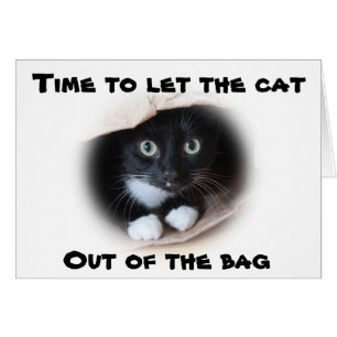 Katze in einer Tasche