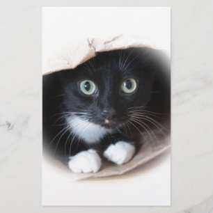 Katze in einer Tasche Briefpapier