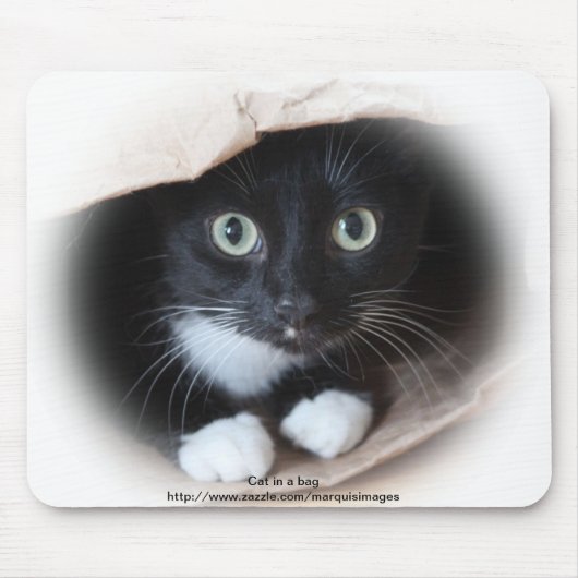 Katze in einer Tasche Mousepad (Vorne)