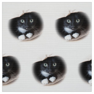 Katze in einer Tasche Stoff