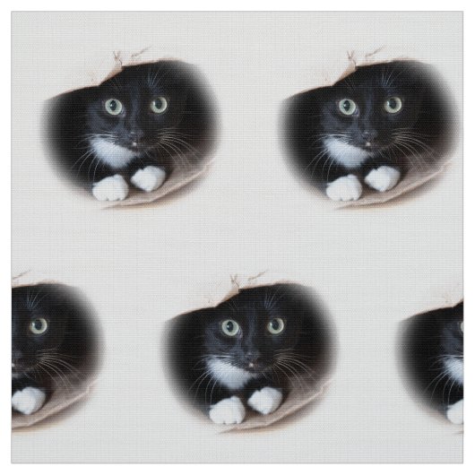 Katze in einer Tasche Stoff (Muster)