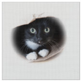 Katze in einer Tasche Stoff (Nahaufnahme)