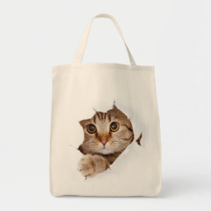 Katze in einer Tasche! Tragetasche