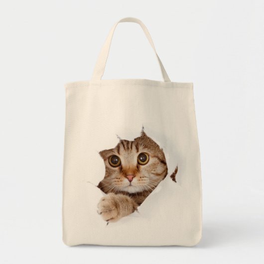 Katze in einer Tasche! Tragetasche (Vorne)