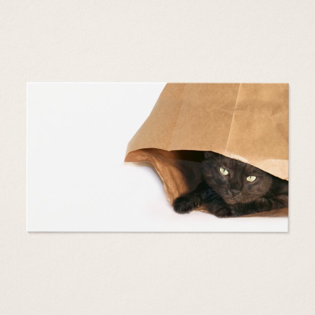 Katze in einer Tasche Visitenkarte (Vorderseite)