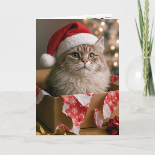 Katze in einer Weihnachtsgeschenkbox Karte (Vorderseite)
