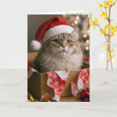 Katze in einer Weihnachtsgeschenkbox Karte (Gelbe Blume)