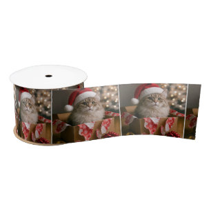 Katze in einer Weihnachtsgeschenkbox Satinband