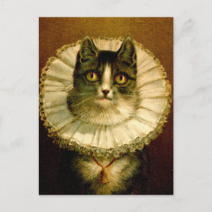 Katze in elisabethanischem Halsband-Kostüm-Postkar Postkarte