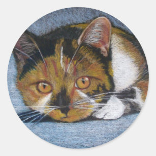 KATZE IN FARBENCIL: KLEINE RUNDER AUFKLEBER