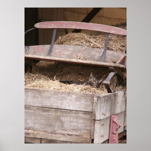 Katze in Hay Wagon Print Poster (Vorne)