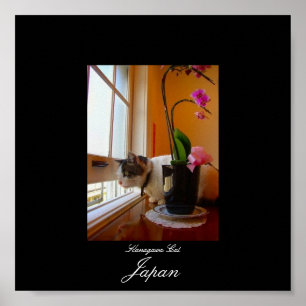 Katze in Kanagawa, Japan Poster