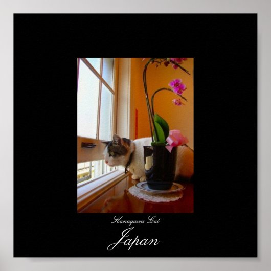 Katze in Kanagawa, Japan Poster (Vorne)