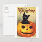 Katze in Kürbis Postkarte (Vorne/Hinten)