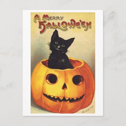 Katze in Kürbis Postkarte (Vorderseite)