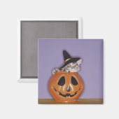 Katze in Kürbishut Magnet (Vorderseite/Rückseite)