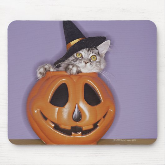 Katze in Kürbishut Mousepad (Vorne)