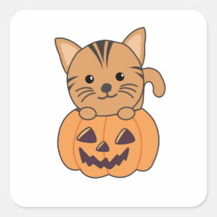 Katze in Kürbiskatzen Halloween Quadratischer Aufkleber