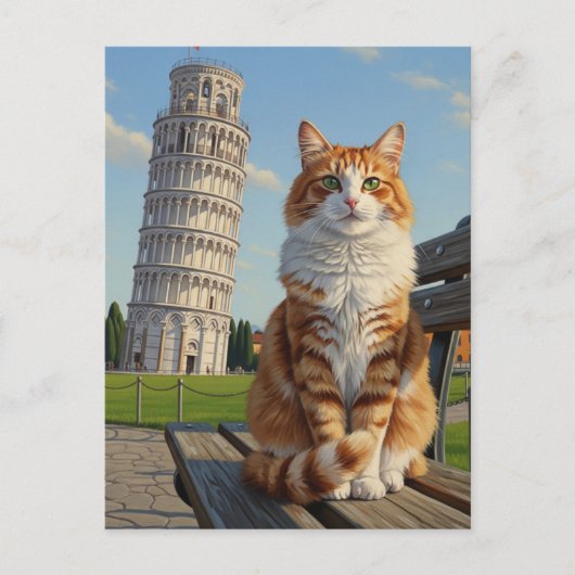 Katze in Pisa, Italien Postkarte (Vorderseite)
